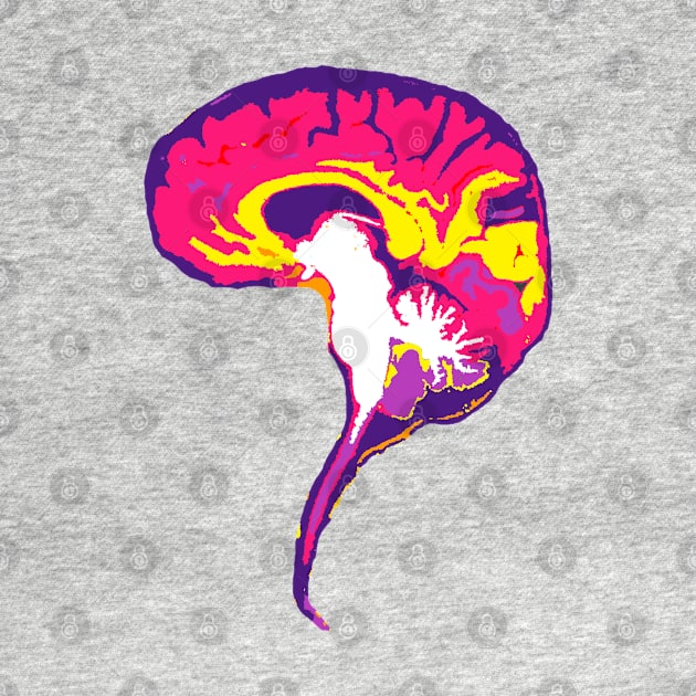 Brain with Brainstem in Vibrant Colors by VegShop